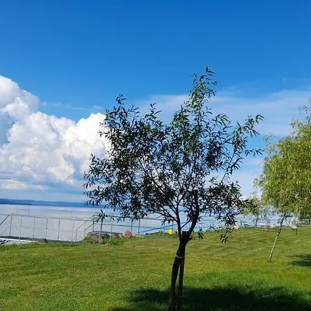 Apartment Suello Utcai Vizparti Es Panoramas! On The Waterfront And With Balaton Panorama!